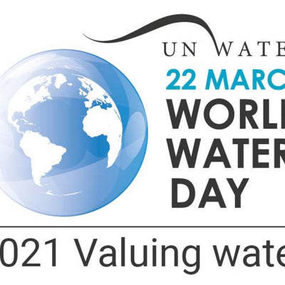 World Water Day 22 March 2021: Valuing Water