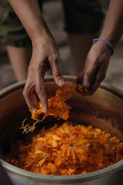 Plant-based Mordant Printing on Barkcloth and Cotton | 24 October 2024