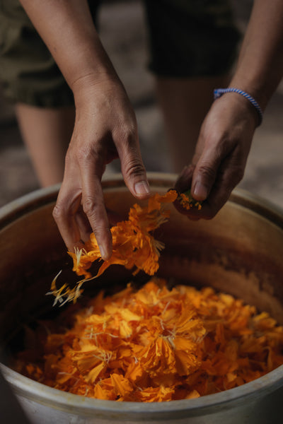 Barkcloth Surface Design Using Natural Dyes with Novieta Tourisia | 7-11 July 2025