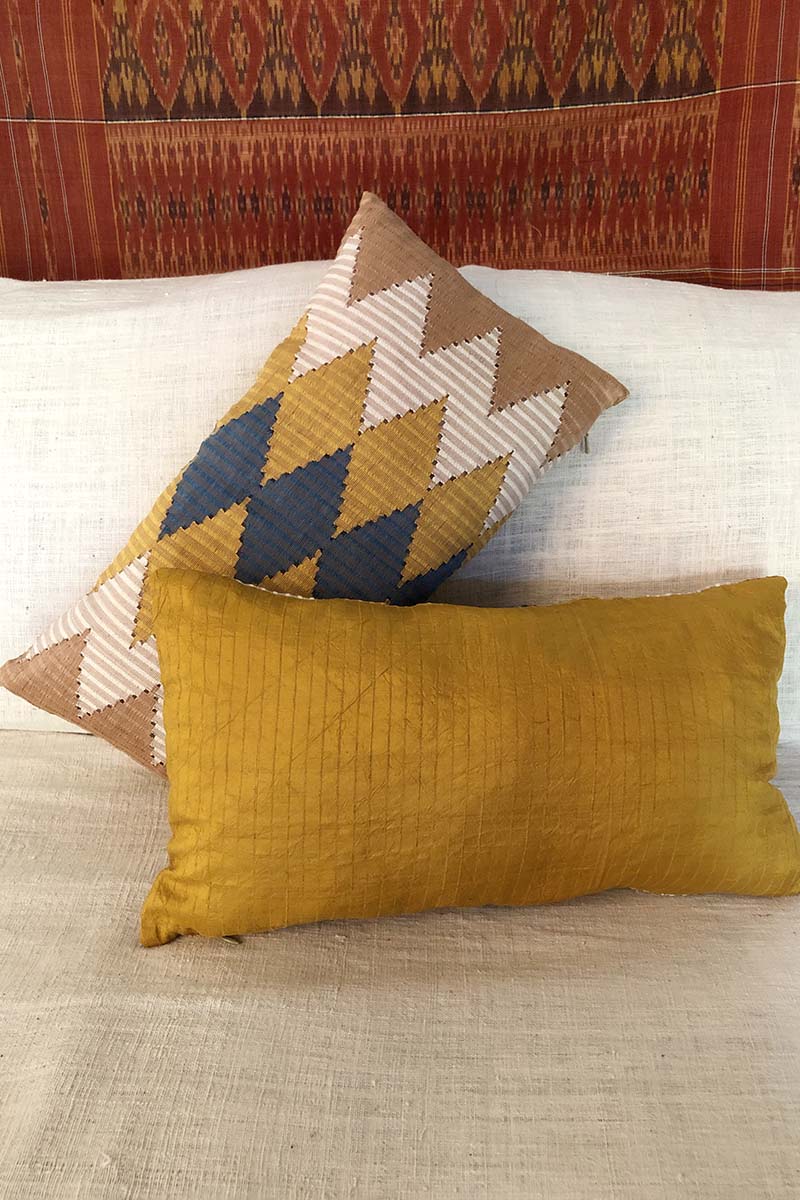 Golden Light Delight Pillows