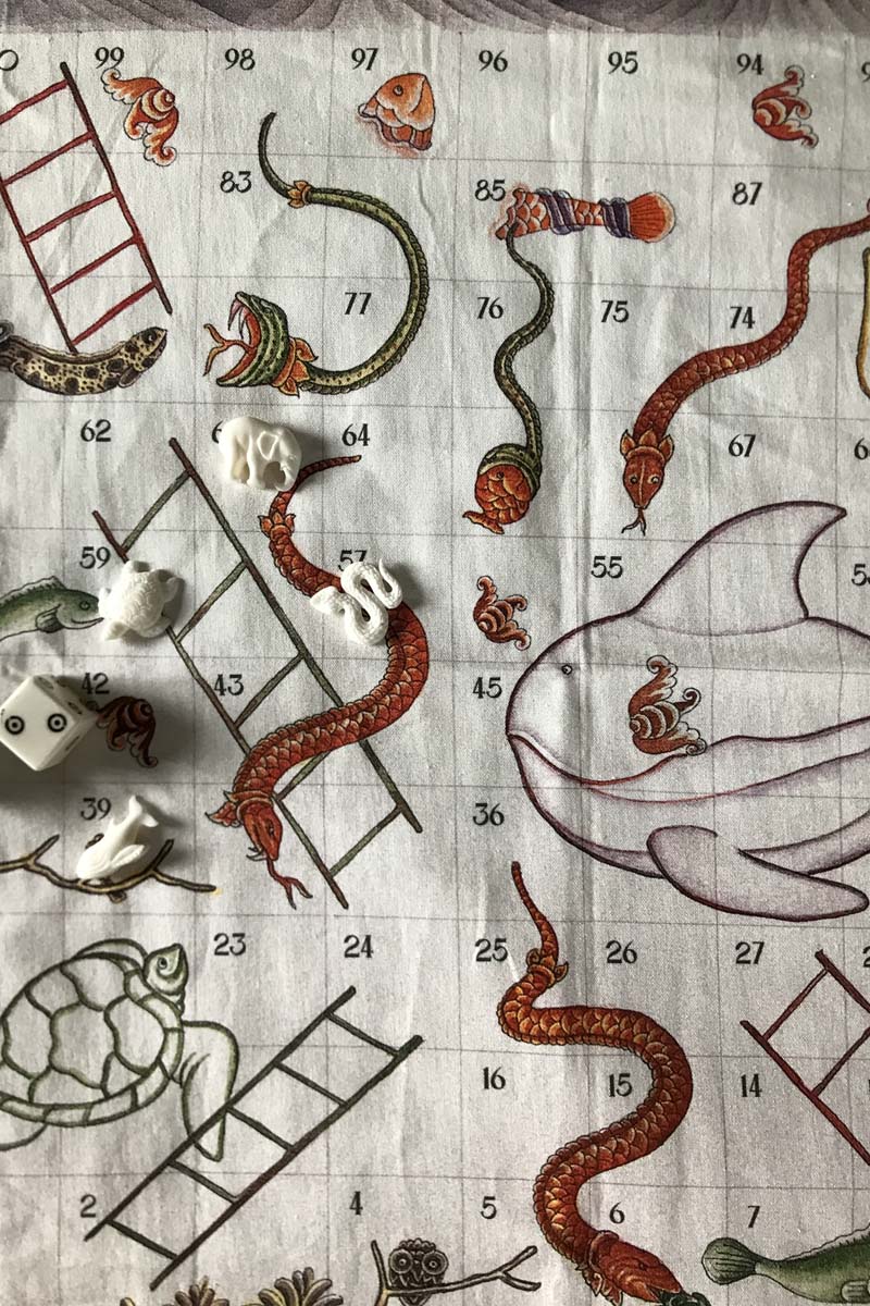 Snakes and Ladders Bali's Underwater World